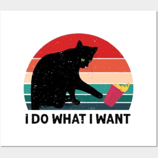 Cat: I do what i want Posters and Art